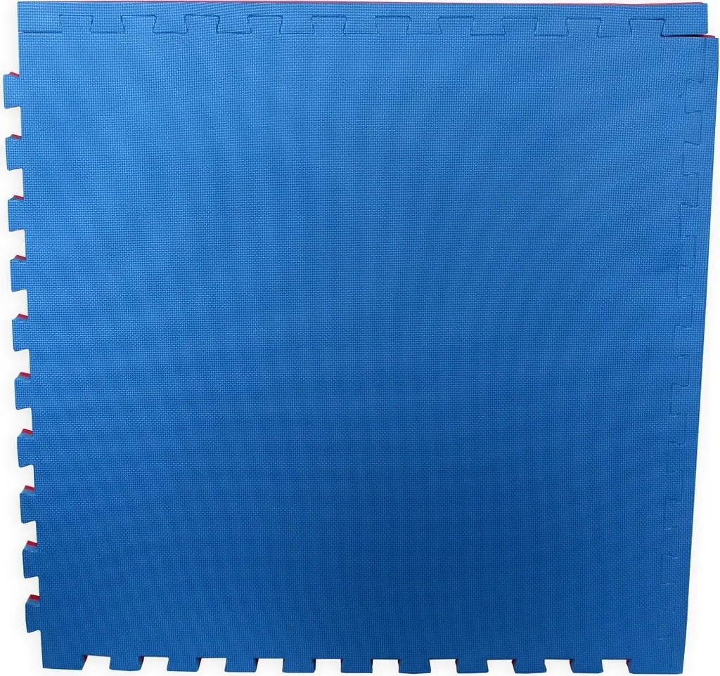 Master Tatami Taekwondo Kampfsportmatte 100x100x3 cm