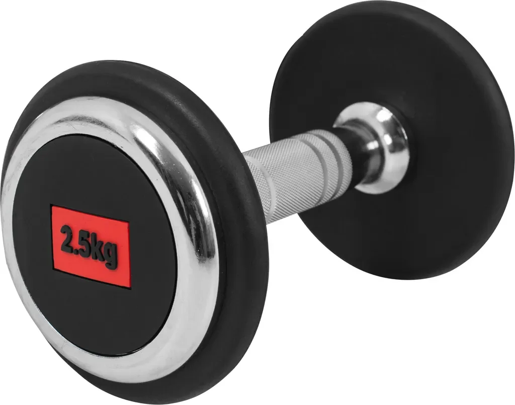 GORILLA SPORTS Kurzhantel 2,5 kg Gusseisen gummiert rutschfest einzeln