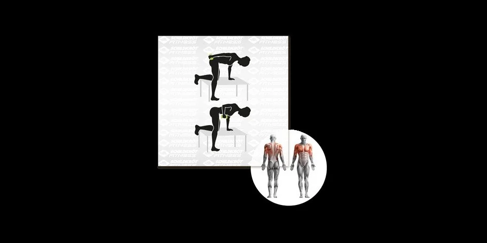 SCHILDKRÖT-FITNESS Schildkröt Vinyl Kurzhantel Set 2 x 3